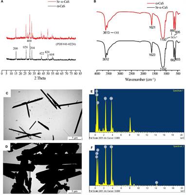 Strontium Modified Calcium Sulfate Hemihydrate Scaffold Incorporating Ginsenoside Rg1/Gelatin Microspheres for Bone Regeneration